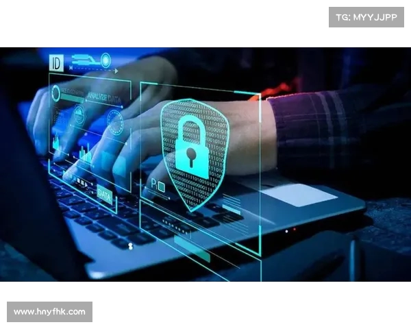 构建以防线为核心的全面安全防护体系提升网络安全防御能力
